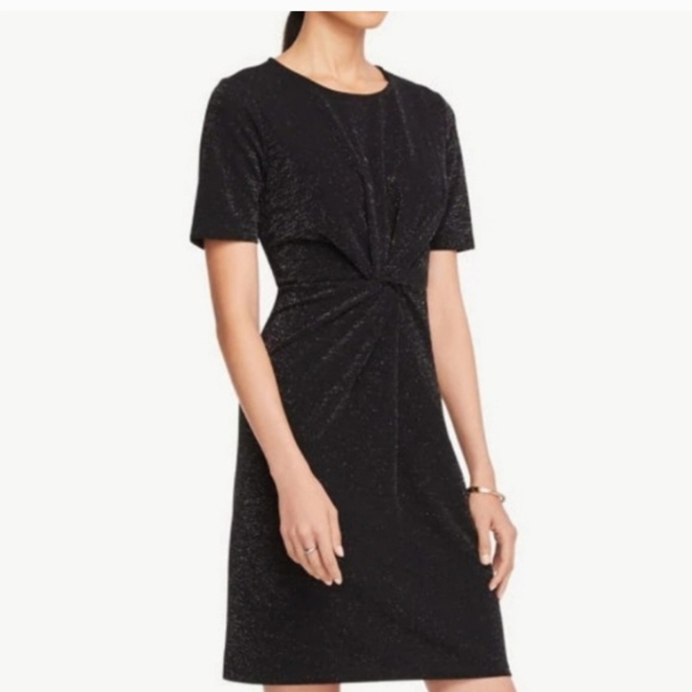 NWT XS Shimmer Ann Taylor Dress